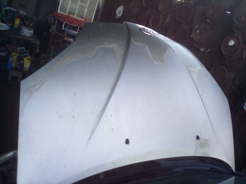 Rear Brakes Fits 04-06 SCION XA 168713