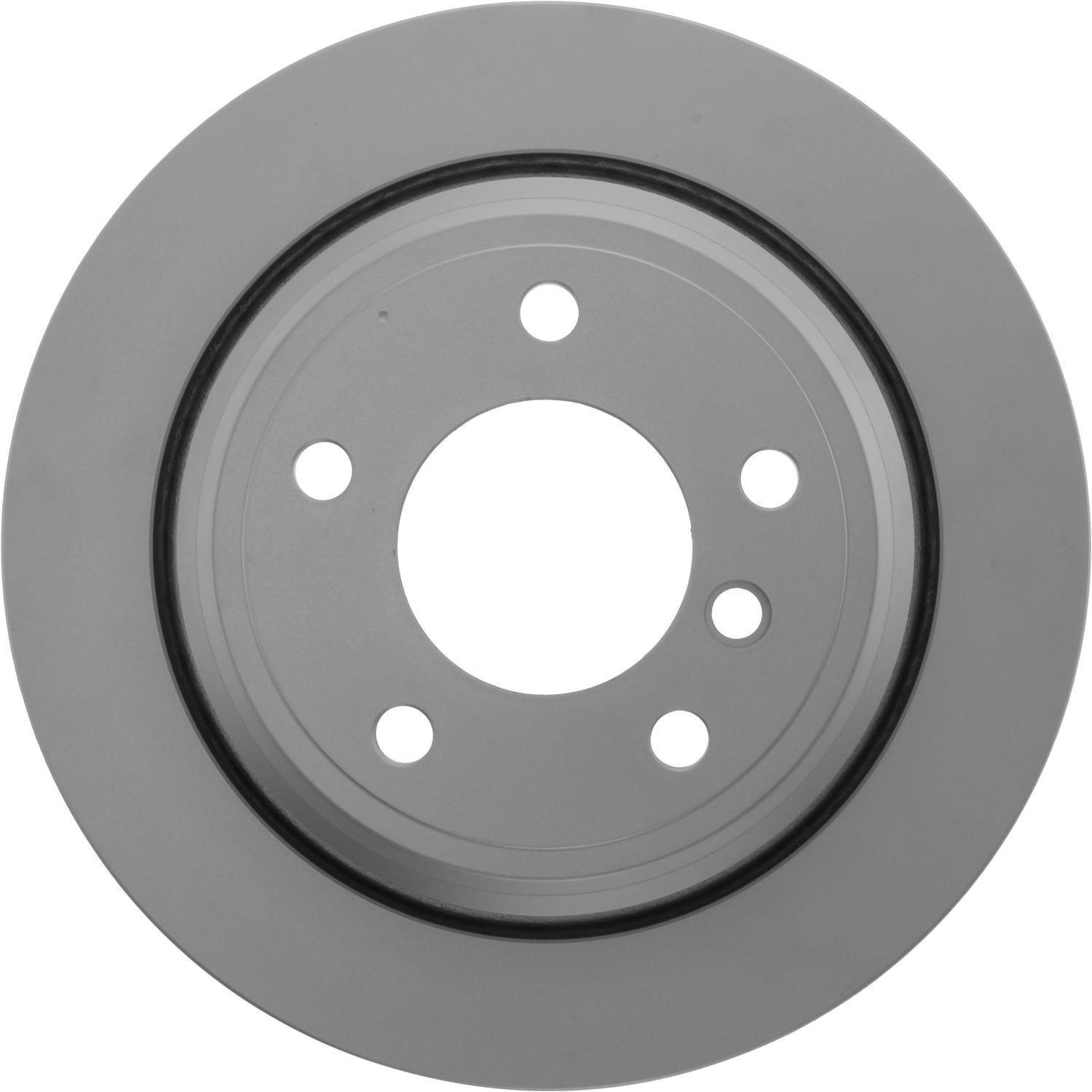 Disc Brake Rotor-GCX Elemental Protection – Full Coating, High Carbon Content